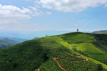 Romantic Honeymoon Packages from Mangalore - Mangalore Taxi 24 Hours